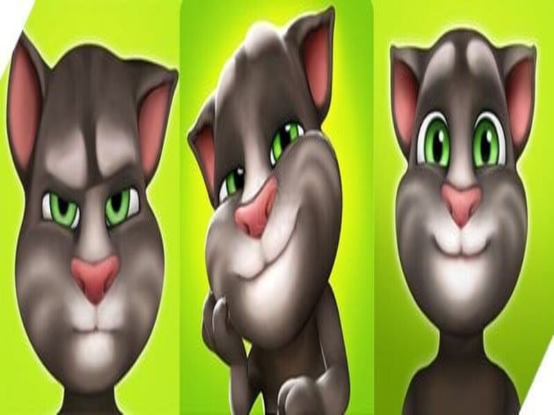 Những lưu ý khi sử dụng phiên bản My Talking Tom Mod Apk